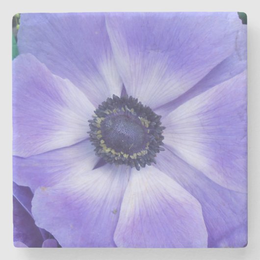 Henrietta Stenen Onderzetter (Voorkant)