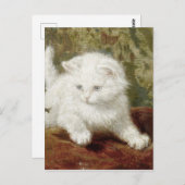  Henriette Ronner-Knip Curiousity Briefkaart (Voorkant / Achterkant)