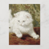 Henriette Ronner-Knip Curiousity Briefkaart (Voorkant)