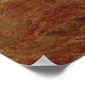  Henriette Ronner-Knip Curiousity Poster (Hoek)