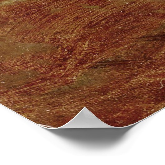  Henriette Ronner-Knip Curiousity Poster (Hoek)