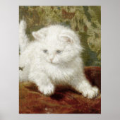  Henriette Ronner-Knip Curiousity Poster (Voorkant)