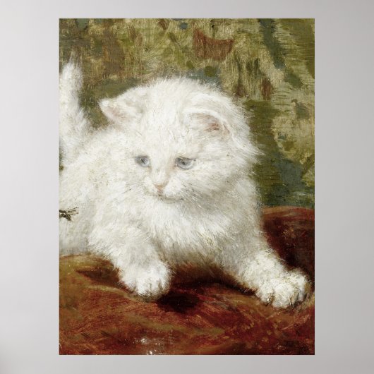  Henriette Ronner-Knip Curiousity Poster (Voorkant)