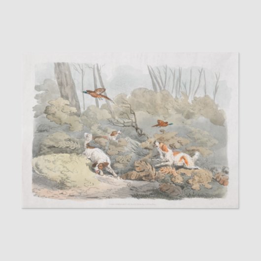 Henry Alken | Dogs Chasing Pheasants Tissuepapier (Voorkant)
