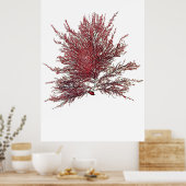 Henry Bradbury's geperste zeewier achtste op tien Poster (Keuken)