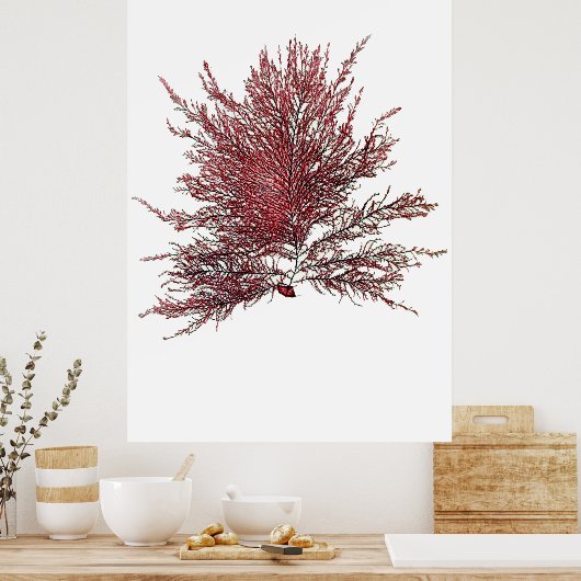 Henry Bradbury's geperste zeewier achtste op tien Poster (Keuken)