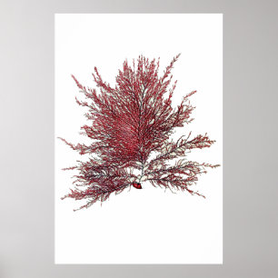 Henry Bradbury's geperste zeewier achtste op tien Poster