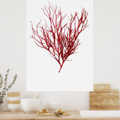 Henry Bradbury's geperste zeewier op de negende va Poster (Keuken)