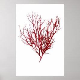 Henry Bradbury's geperste zeewier op de negende va Poster