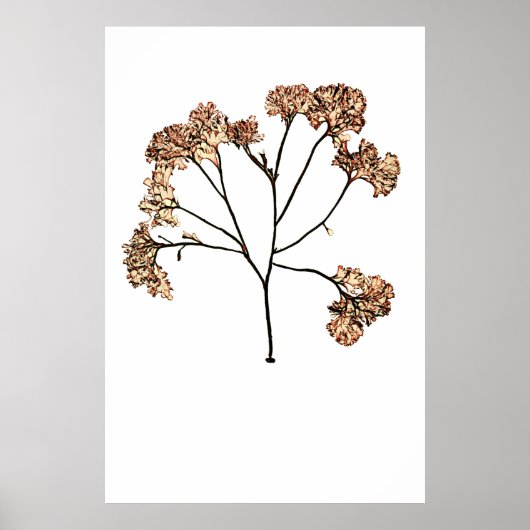 Henry Bradbury's geperste zeewier tiende van tien Poster (Voorkant)