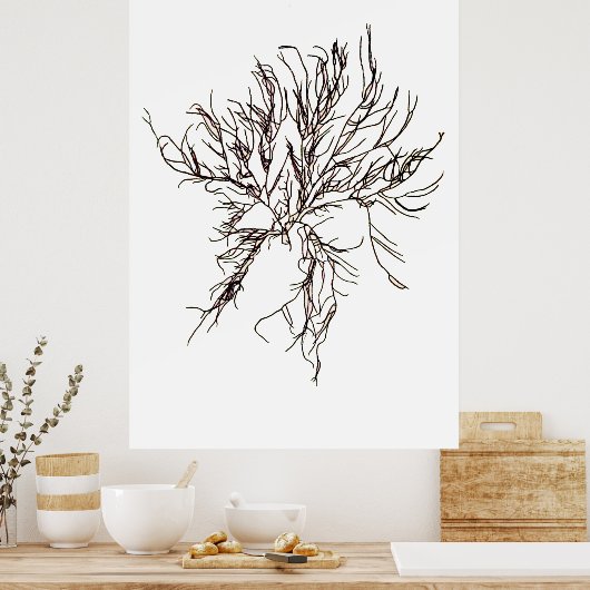 Henry Bradbury's geperste zeewier zesde Poster (Keuken)