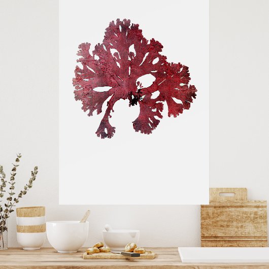 Henry Bradbury's prepress Zevende Zevende van Tien Poster (Keuken)