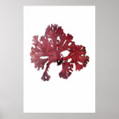 Henry Bradbury's prepress Zevende Zevende van Tien Poster (Voorkant)