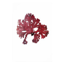 Henry Bradbury's prepress Zevende Zevende van Tien