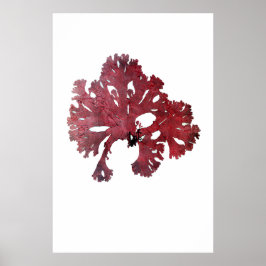 Henry Bradbury's prepress Zevende Zevende van Tien Poster