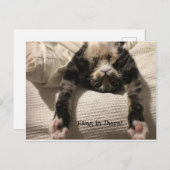 Henry Cat wordt snel goed aangemoedigd of sympathi Briefkaart (Voorkant / Achterkant)