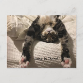 Henry Cat wordt snel goed aangemoedigd of sympathi Briefkaart