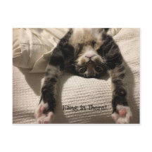 Henry Cat wordt snel goed aangemoedigd of sympathi