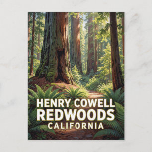Henry Cowell Redwoods State Park — Californië Briefkaart