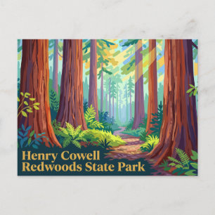 Henry Cowell Redwoods State Park Californië Briefkaart