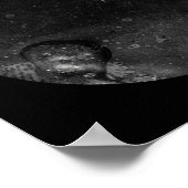 Henry Daguerreotype 1855 Poster (Hoek)