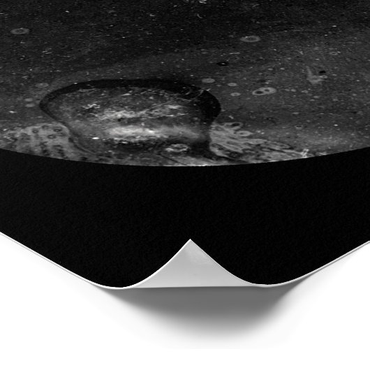 Henry Daguerreotype 1855 Poster (Hoek)