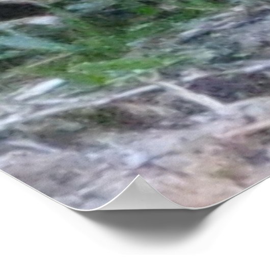 Henry David Thoreau ANIMAL RIGHTS Quote Poster (Hoek)