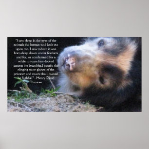 Henry David Thoreau ANIMAL RIGHTS Quote Poster