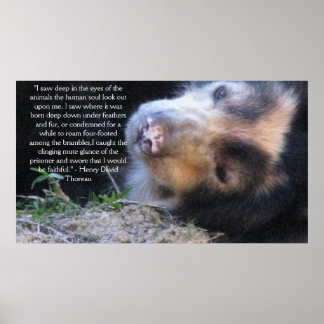 Henry David Thoreau ANIMAL RIGHTS Quote Poster