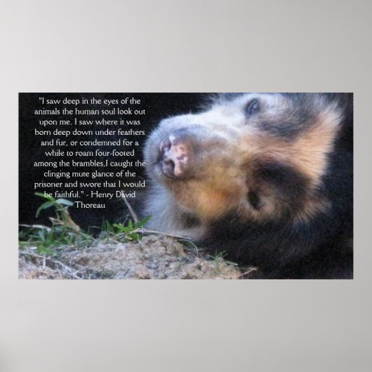 Henry David Thoreau ANIMAL RIGHTS Quote Poster (Voorkant)