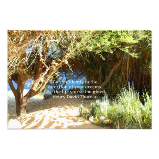Henry David Thoreau Motivatie Dream Quotation Foto Afdruk