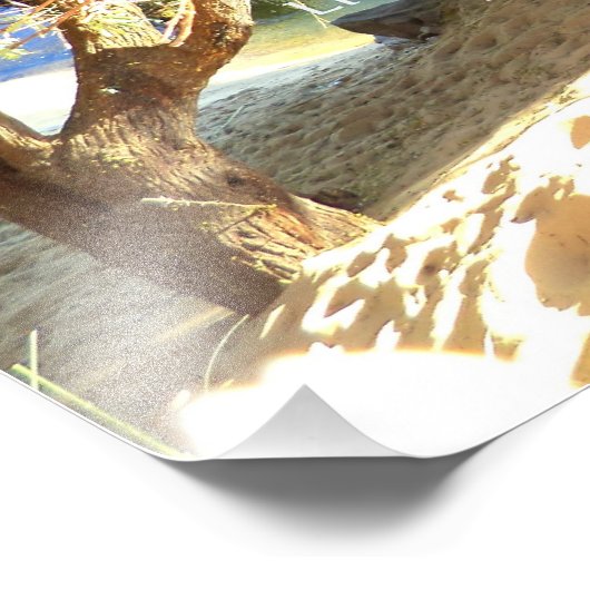 Henry David Thoreau Motivatie Dream Quotation Foto Afdruk (Hoek)