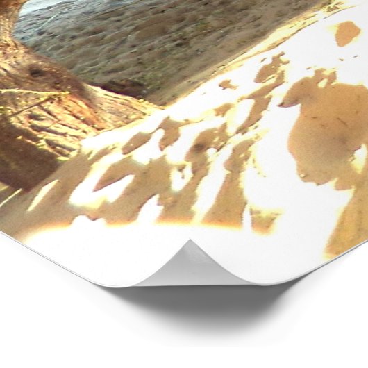 Henry David Thoreau Motivatie Dream Quotation Poster (Hoek)