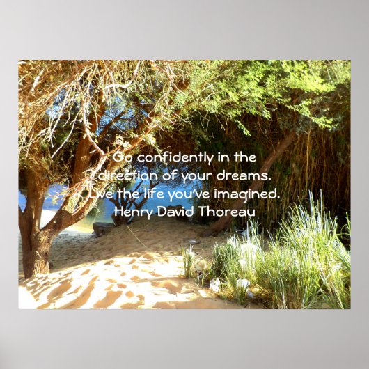 Henry David Thoreau Motivatie Dream Quotation Poster (Voorkant)