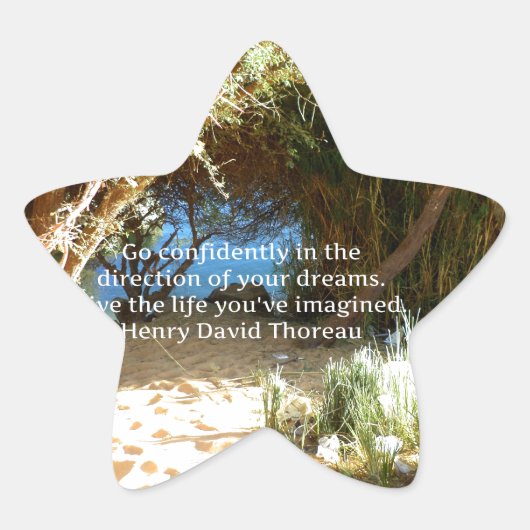Henry David Thoreau Motivatie Dream Quotation Ster Sticker (Voorkant)