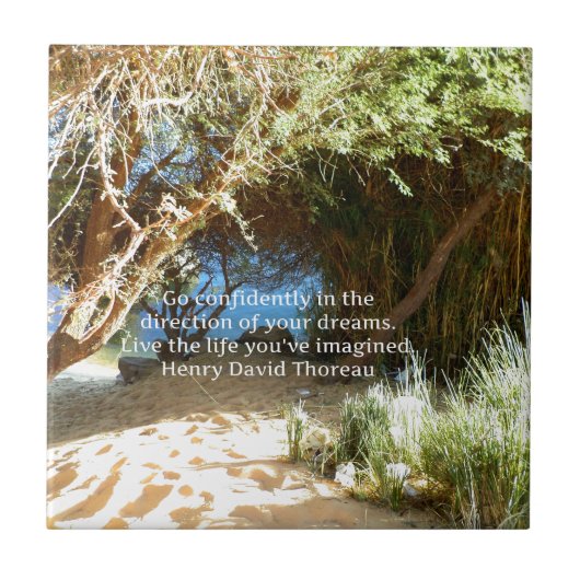 Henry David Thoreau Motivatie Dream Quotation Tegeltje (Voorkant)