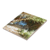 Henry David Thoreau Motivatie Dream Quotation Tegeltje (Zijkant)