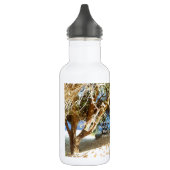 Henry David Thoreau Motivatie Dream Quotation Waterfles (Links)