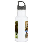 Henry David Thoreau Motivatie Dream Quotation Waterfles (Achterkant)