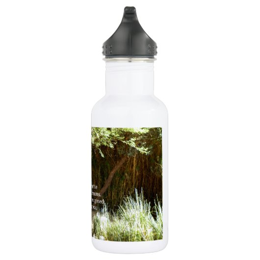 Henry David Thoreau Motivatie Dream Quotation Waterfles (Rechts)