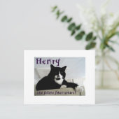 Henry de Feline Fiber Artist Post Card Briefkaart (Staand voorkant)