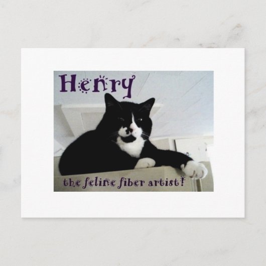 Henry de Feline Fiber Artist Post Card Briefkaart (Voorkant)