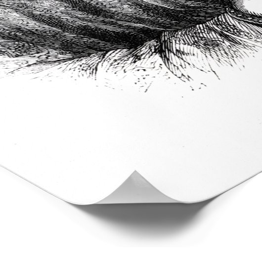 Henry II Poster (Hoek)