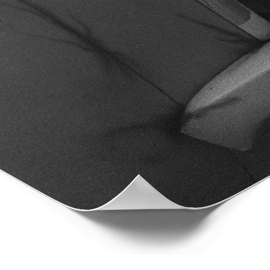 Henry J Gasser -  belemmering Poster (Hoek)