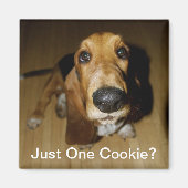 Henry Longfellow Magneet (Voorkant)