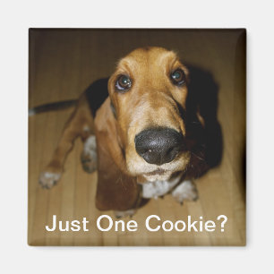 Henry Longfellow Magneet