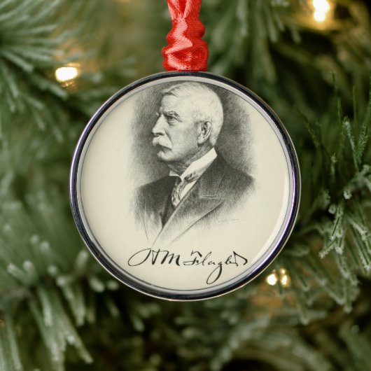 Henry M. Flagler Metalen Ornament (Boom)