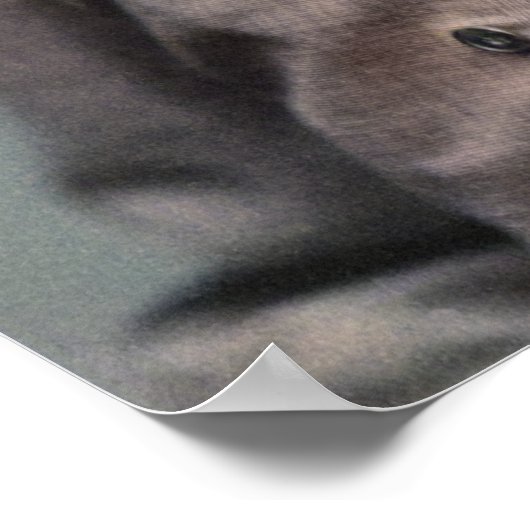 Henry Morton Stanley - Explorer Poster (Hoek)