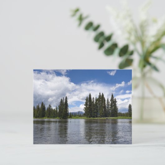 Henrys Fork in Targhee National Forest I Briefkaart (Staand voorkant)