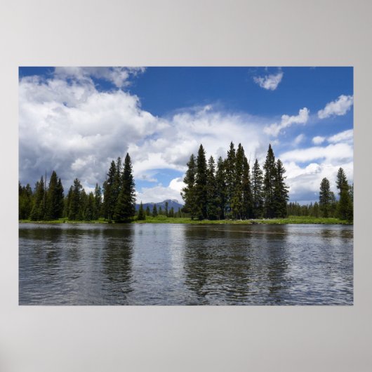 Henrys Fork in Targhee National Forest I Poster (Voorkant)
